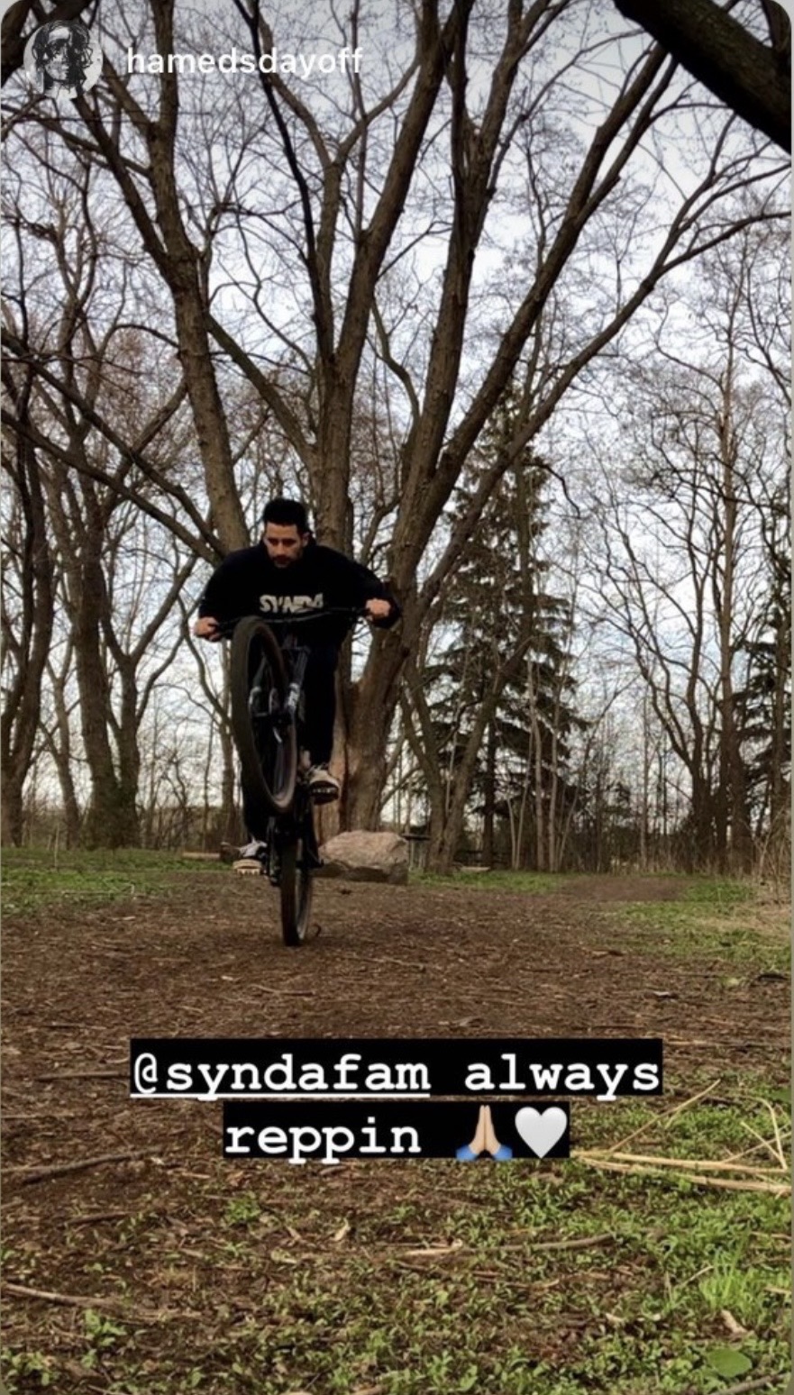 SyndaFam gallery photo